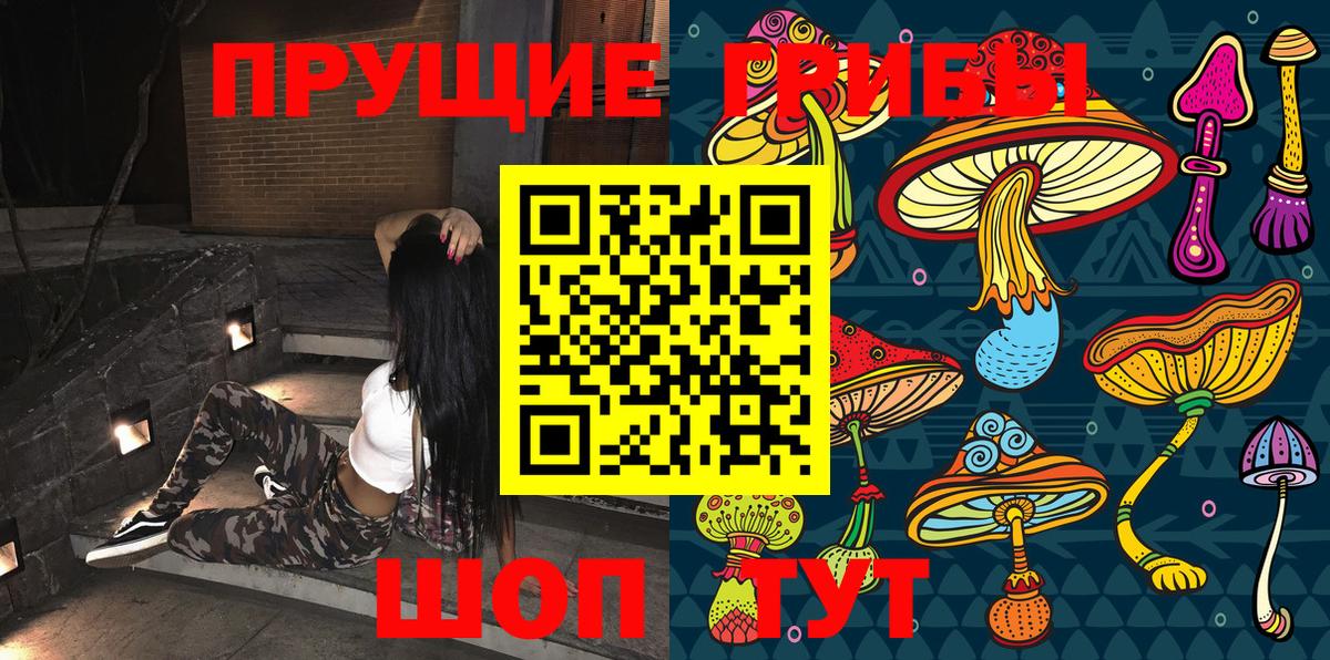 Заводоуковск  Галлюциногенные грибы ЛСД  Вход с VPN  Псилоцибиновые грибы GOLDEN TEACHER 