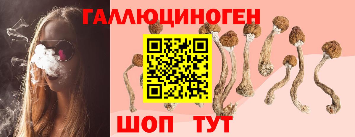 Псилоцибиновые грибы мицелий Заводоуковск